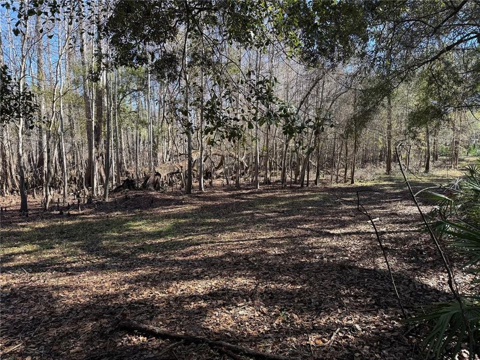 For Sale: $275,000 (10.58 acres)
