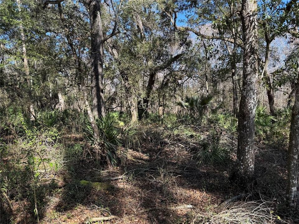 For Sale: $275,000 (10.58 acres)