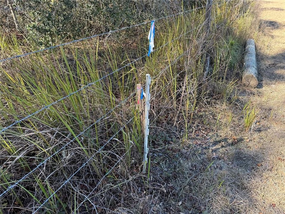 For Sale: $275,000 (10.58 acres)