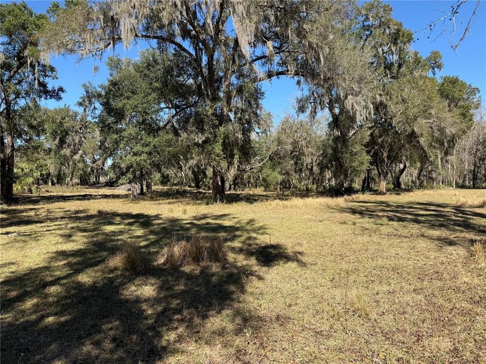 For Sale: $275,000 (10.58 acres)
