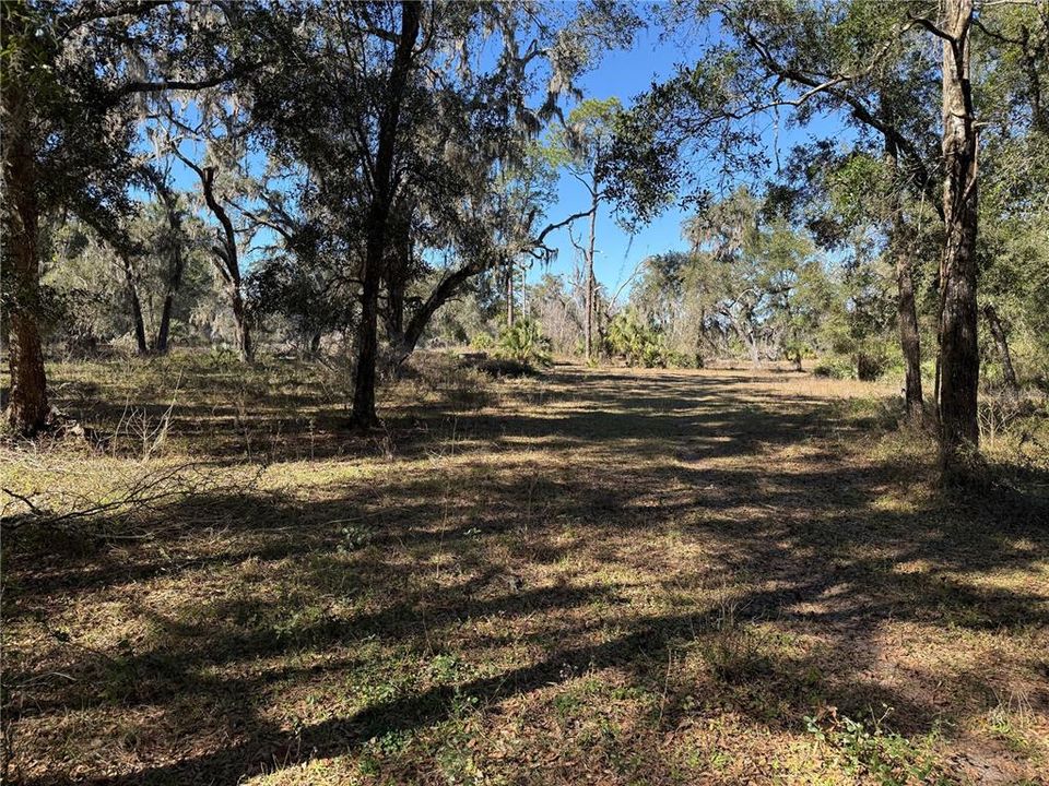 For Sale: $275,000 (10.58 acres)
