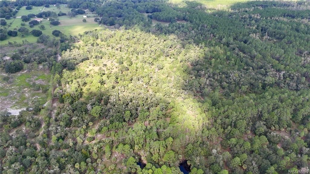 На продажу: $995,000 (50.00 acres)