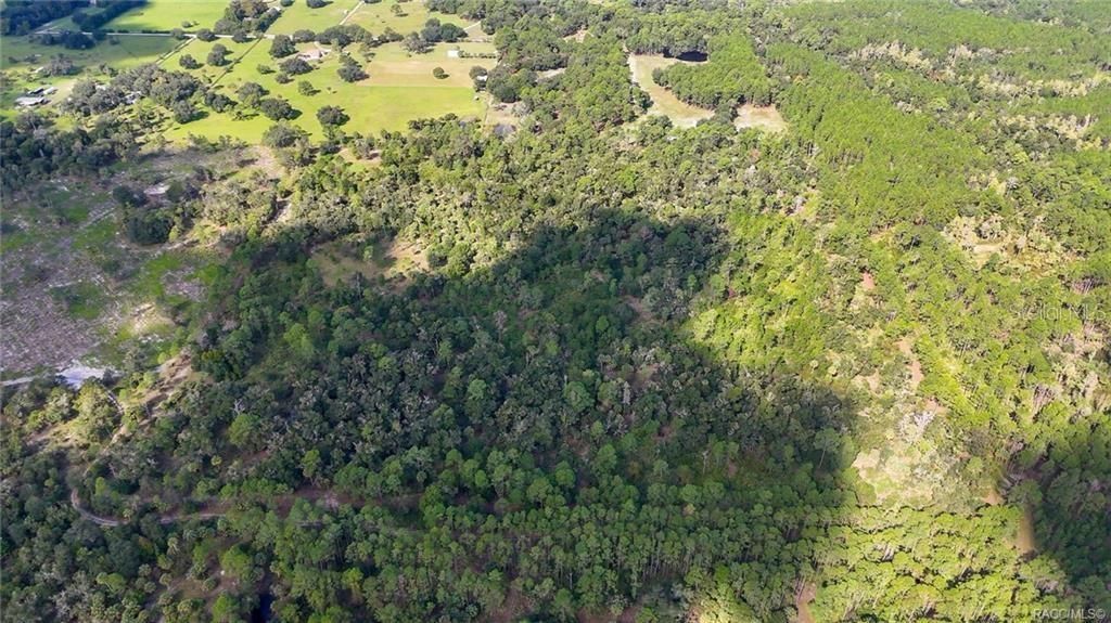 На продажу: $995,000 (50.00 acres)