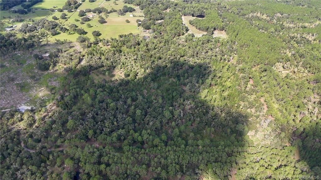 На продажу: $995,000 (50.00 acres)
