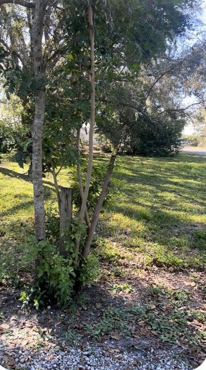 En Venta: $55,000 (0.28 acres)