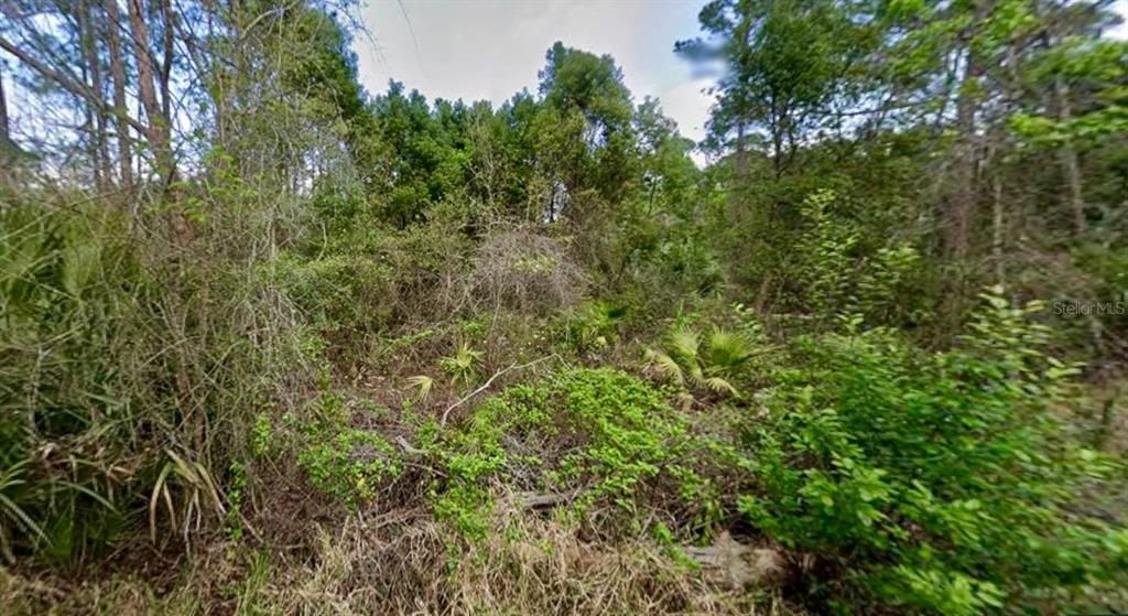 На продажу: $99,000 (2.50 acres)