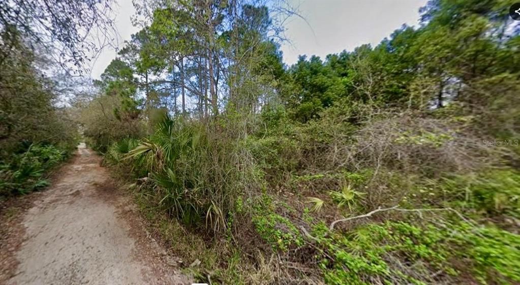 На продажу: $99,000 (2.50 acres)