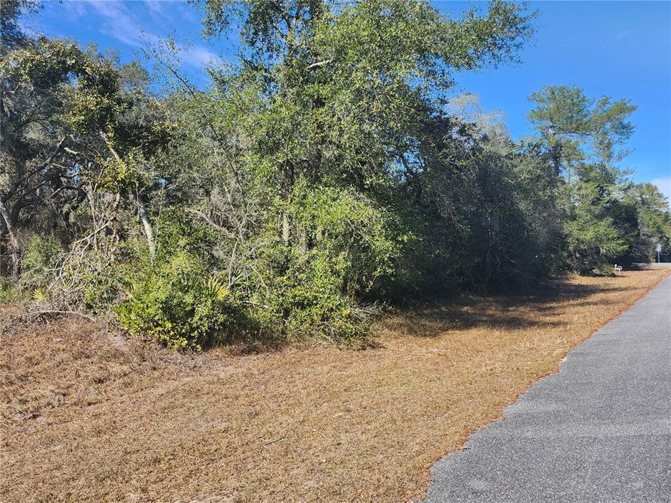 待售: $65,000 (0.46 acres)