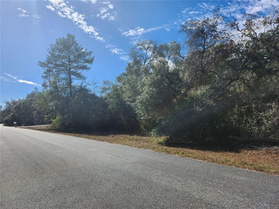 待售: $65,000 (0.46 acres)