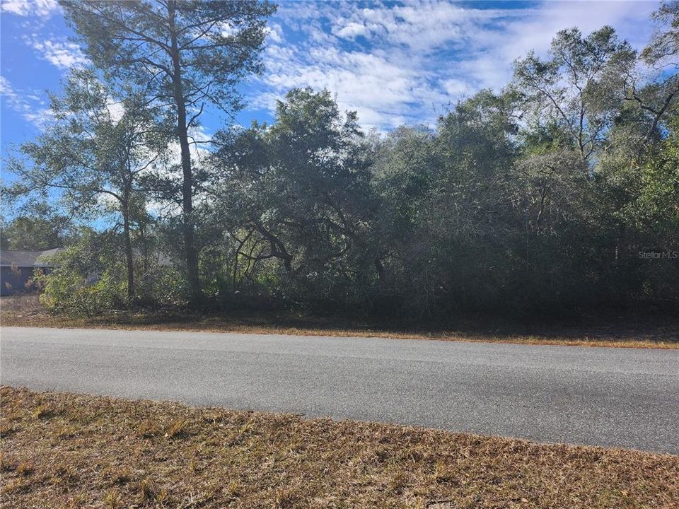 待售: $65,000 (0.46 acres)