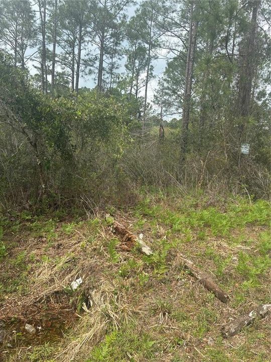 En Venta: $39,000 (0.93 acres)