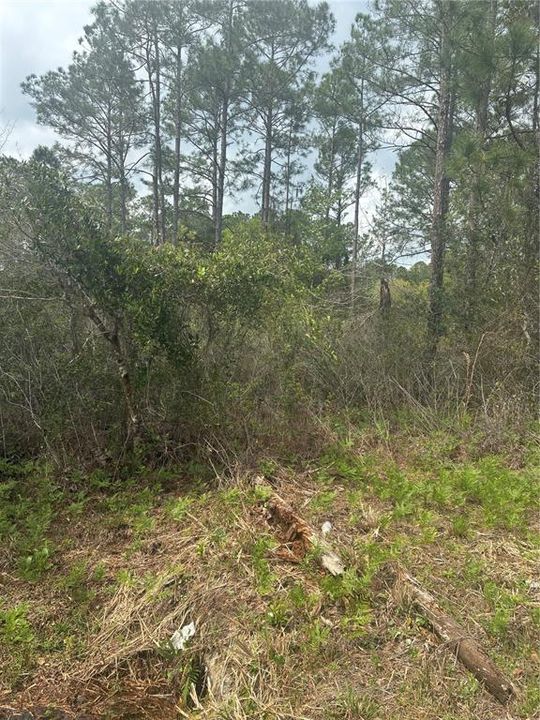 En Venta: $39,000 (0.93 acres)