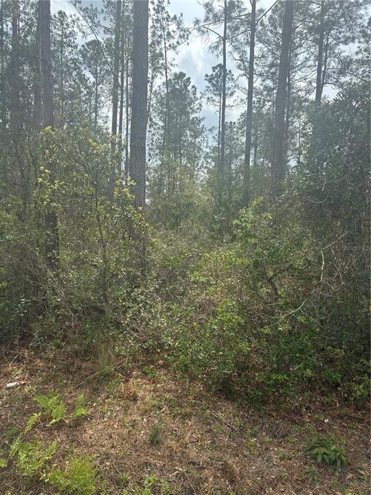 En Venta: $39,000 (0.93 acres)