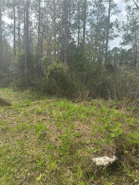 En Venta: $39,000 (0.93 acres)