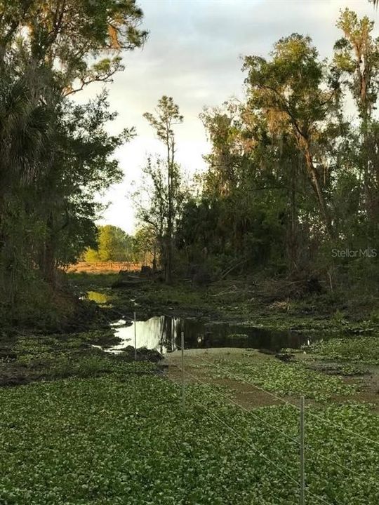 For Sale: $500,000 (24.20 acres)