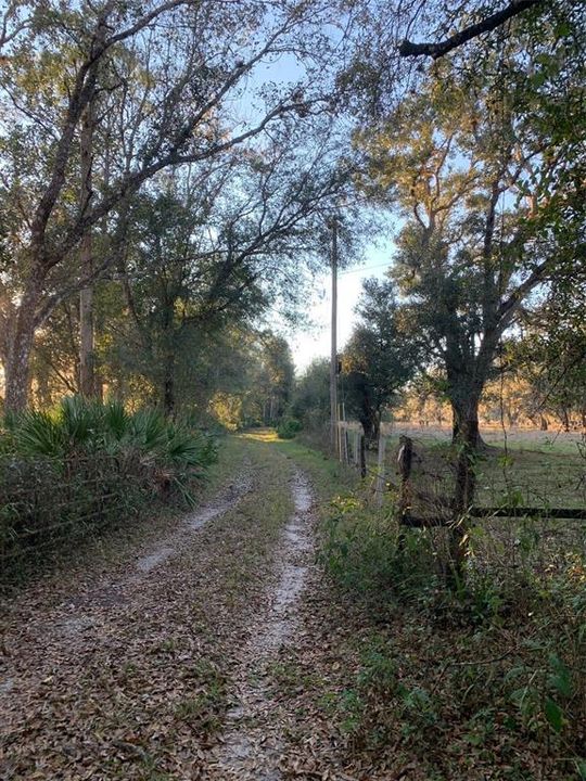 For Sale: $500,000 (24.20 acres)