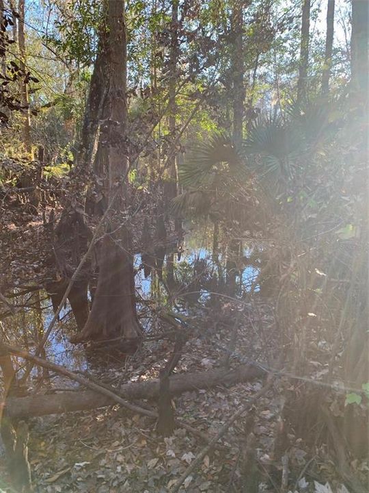 For Sale: $500,000 (24.20 acres)