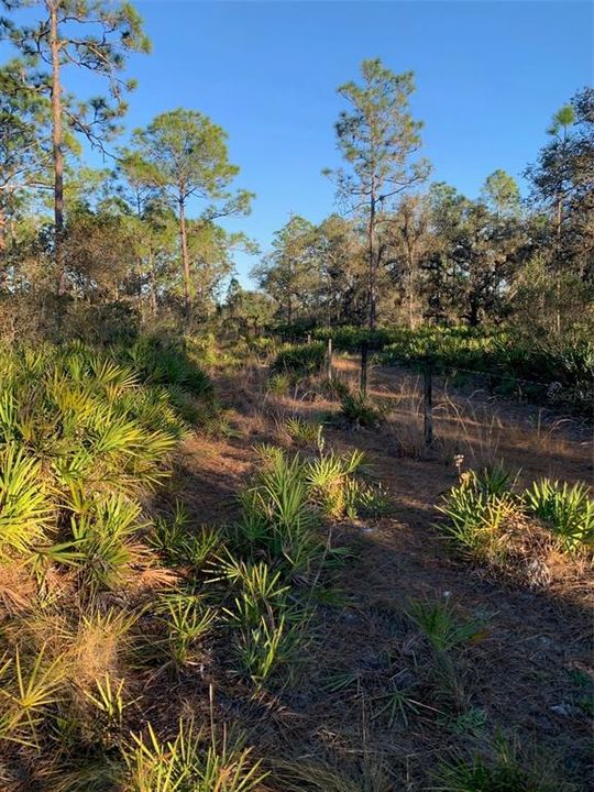 For Sale: $500,000 (24.20 acres)