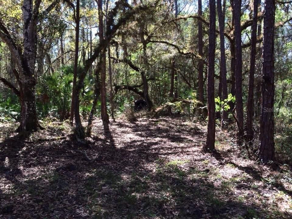 For Sale: $500,000 (24.20 acres)