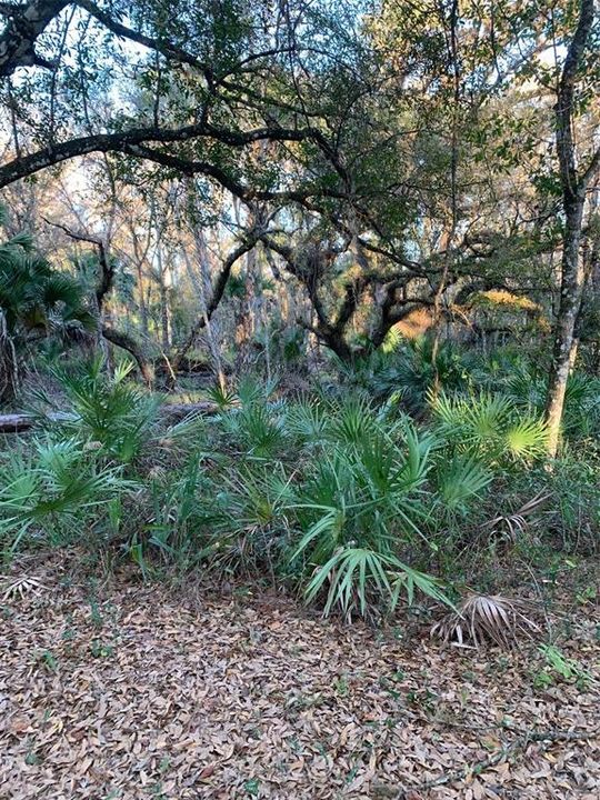 For Sale: $500,000 (24.20 acres)
