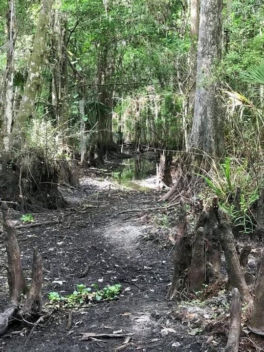 For Sale: $500,000 (24.20 acres)