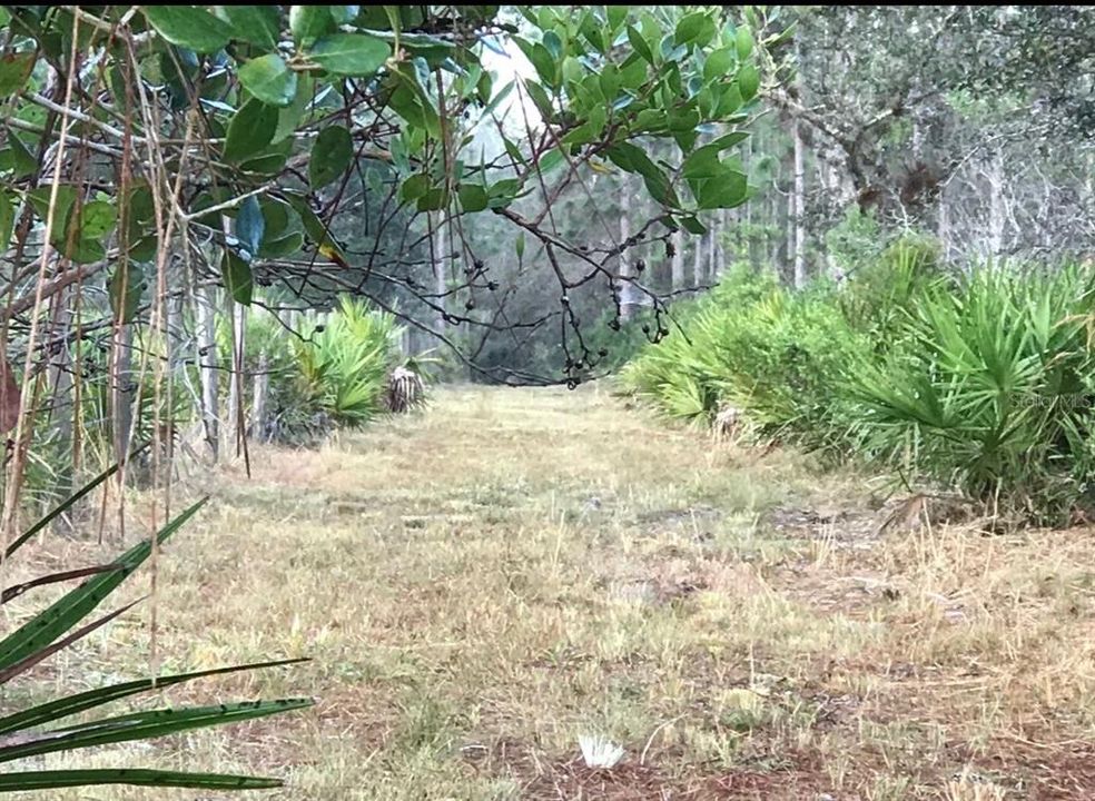 For Sale: $500,000 (24.20 acres)