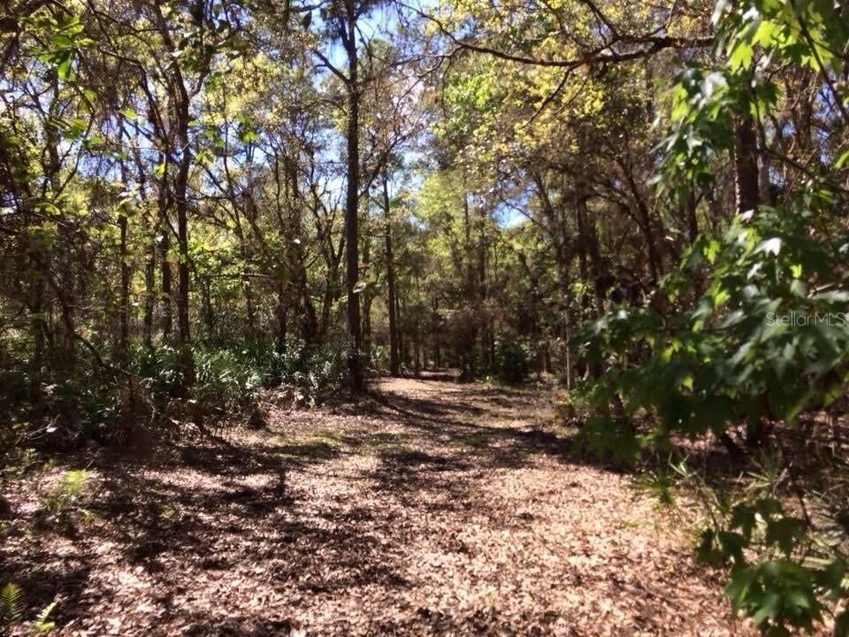 For Sale: $500,000 (24.20 acres)
