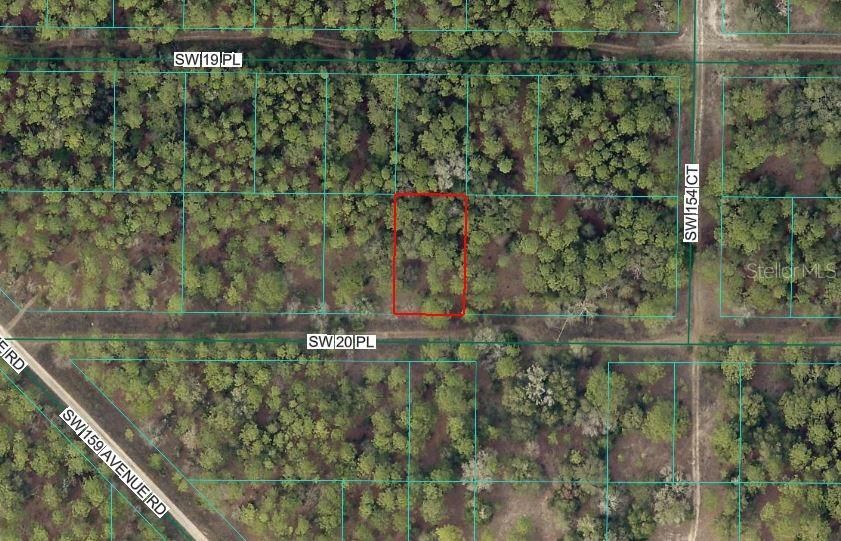 For Sale: $14,000 (0.25 acres)