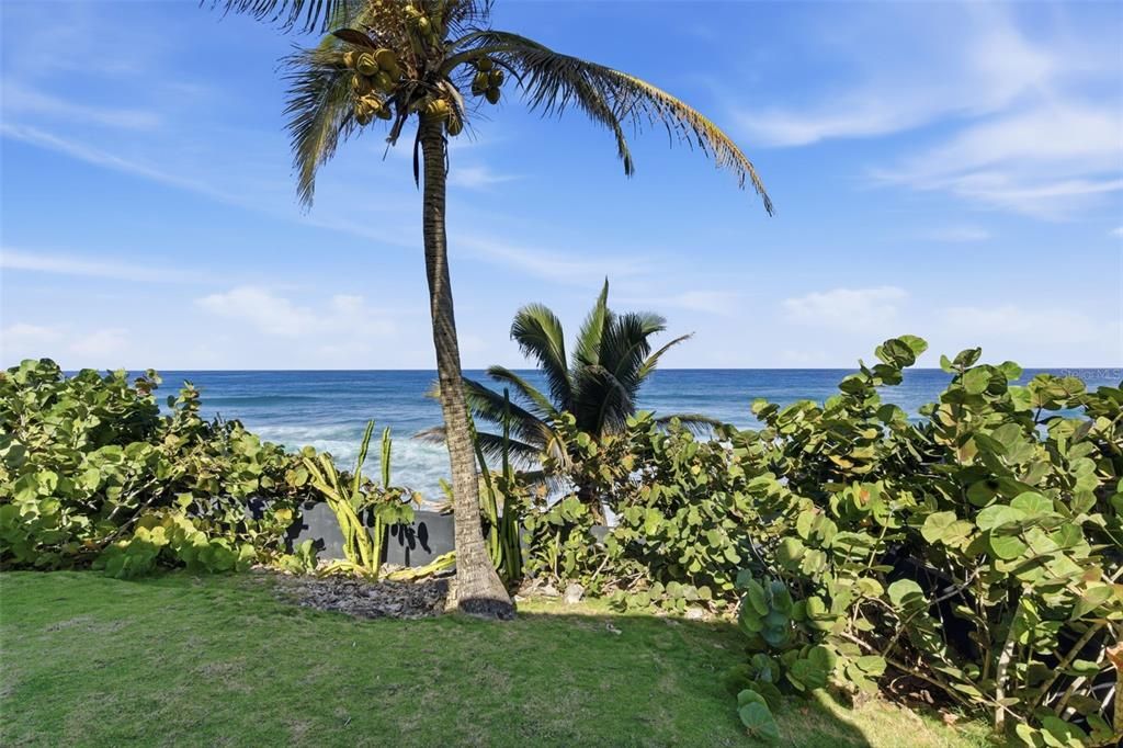 Active With Contract: $885,000 (3 beds, 2 baths, 1200 Square Feet)