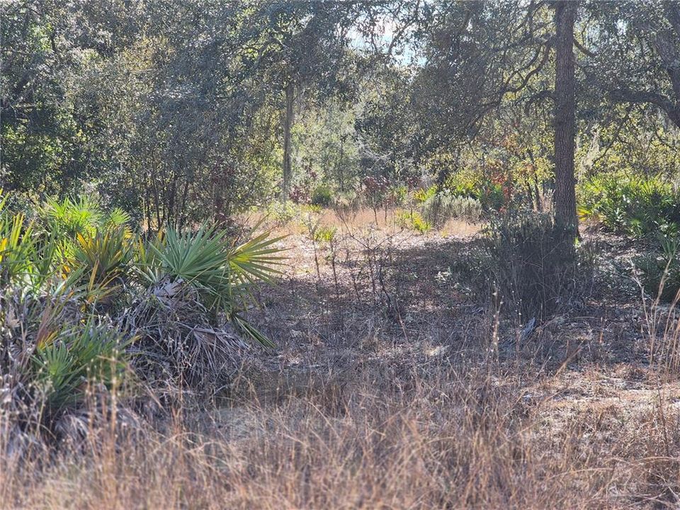 待售: $26,000 (1.00 acres)