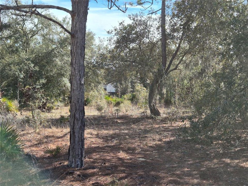 待售: $26,000 (1.00 acres)