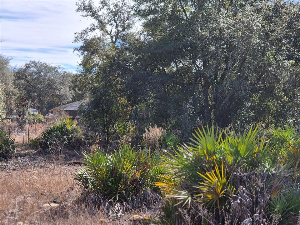 待售: $26,000 (1.00 acres)