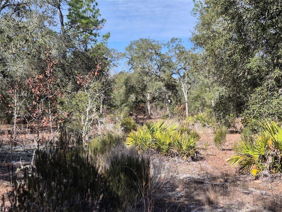 待售: $26,000 (1.00 acres)