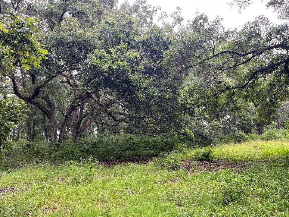 For Sale: $85,000 (5.24 acres)