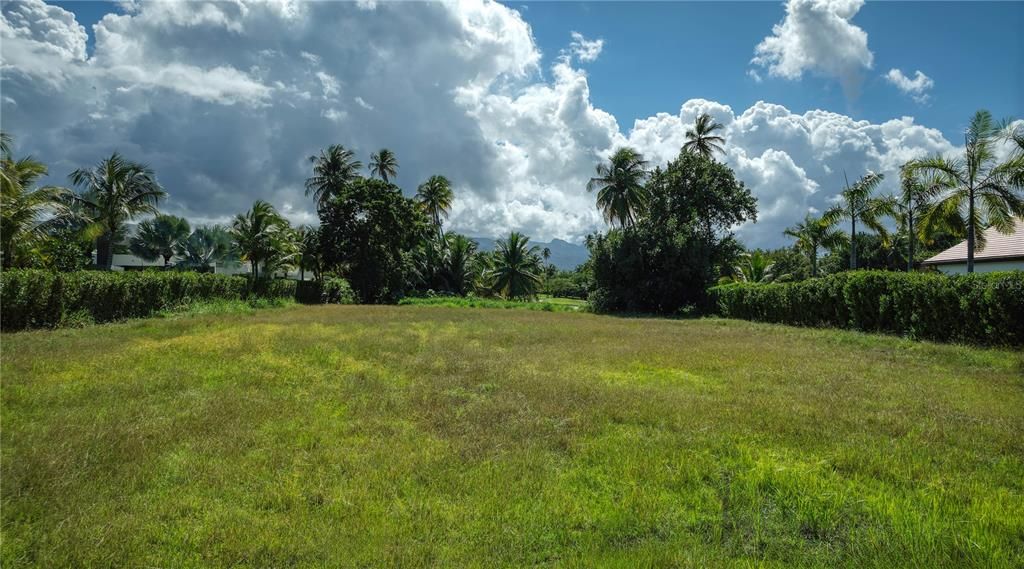 For Sale: $3,900,000 (1.01 acres)