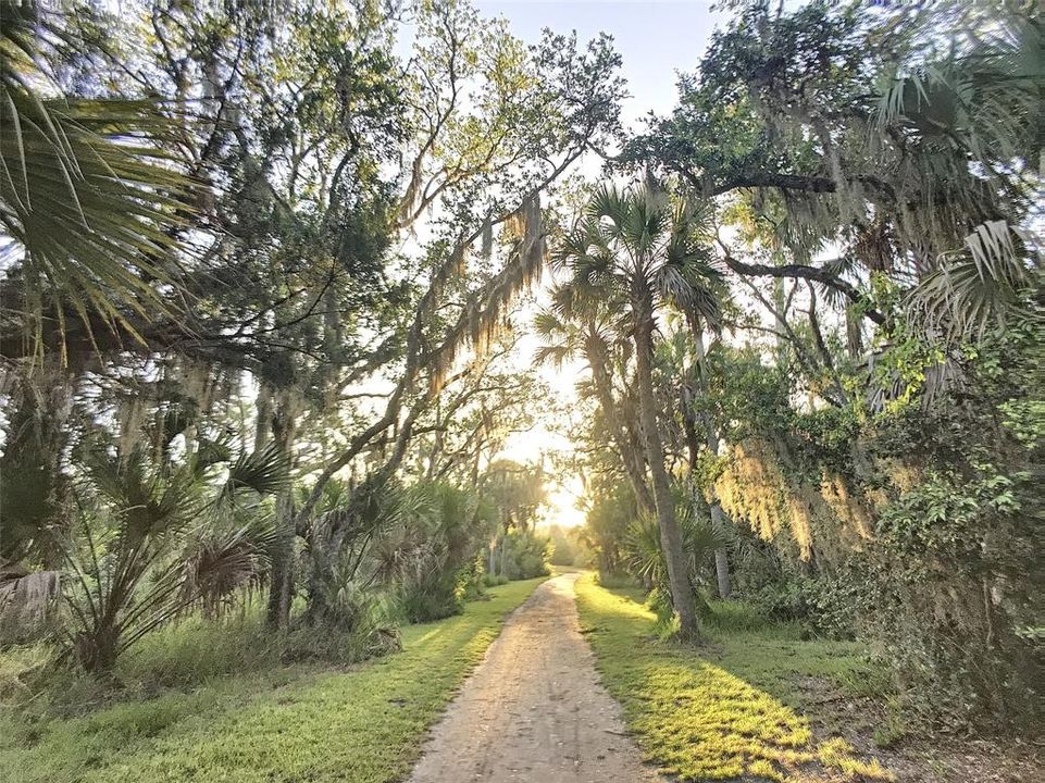 For Sale: $438,000 (0.23 acres)