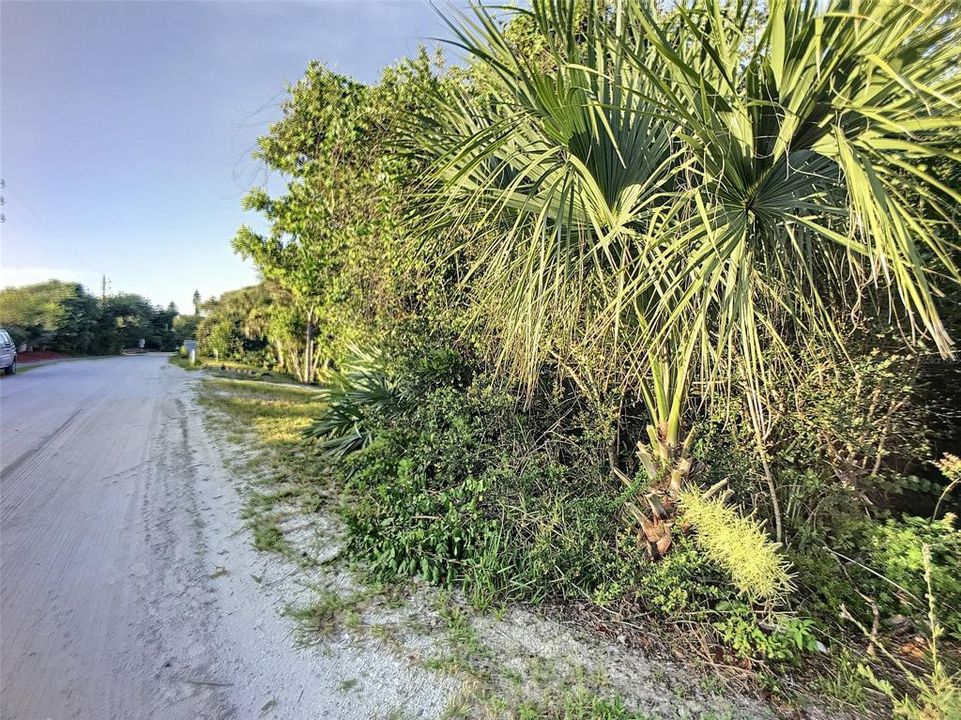 For Sale: $438,000 (0.23 acres)