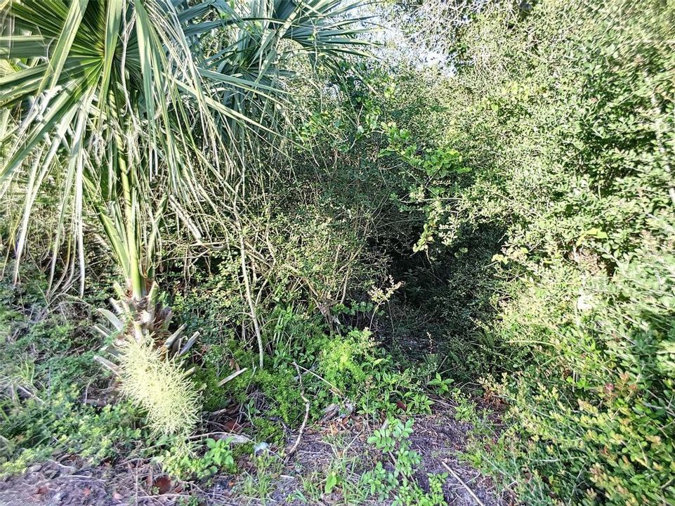 For Sale: $438,000 (0.23 acres)