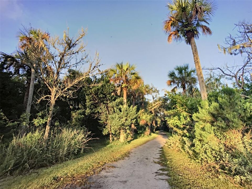 For Sale: $438,000 (0.23 acres)