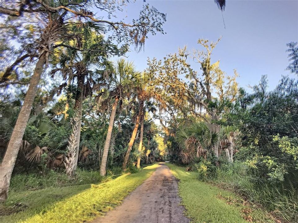 For Sale: $438,000 (0.23 acres)