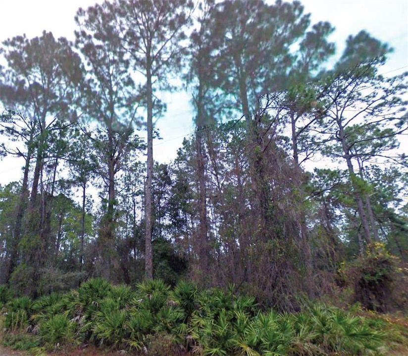На продажу: $11,000 (0.21 acres)
