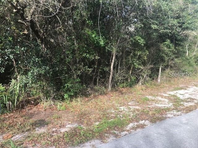 Недавно продано: $62,000 (0.31 acres)