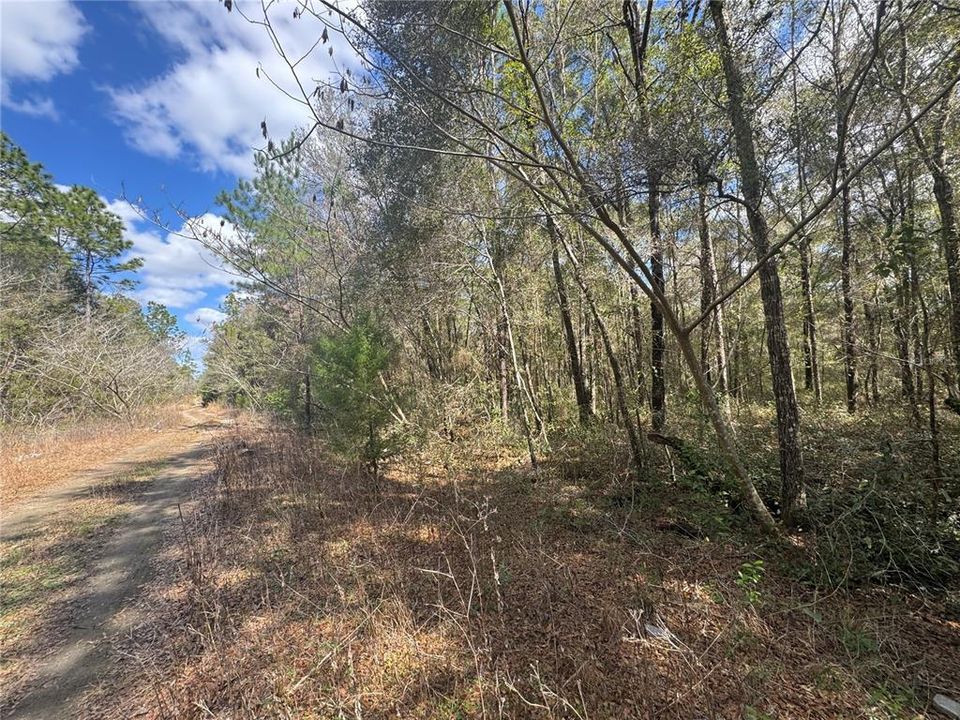 For Sale: $9,000 (0.23 acres)