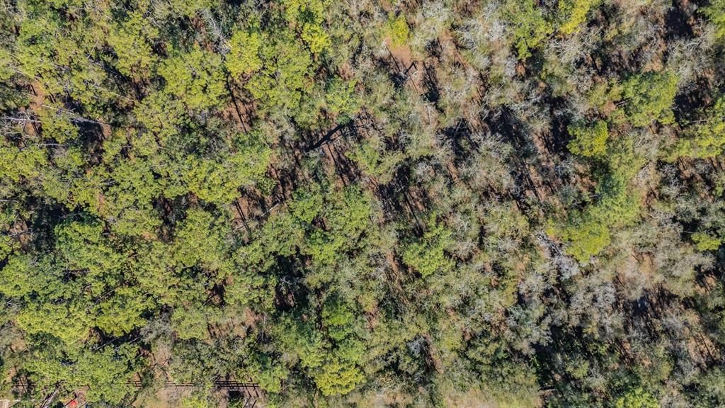 For Sale: $1,900,000 (19.57 acres)