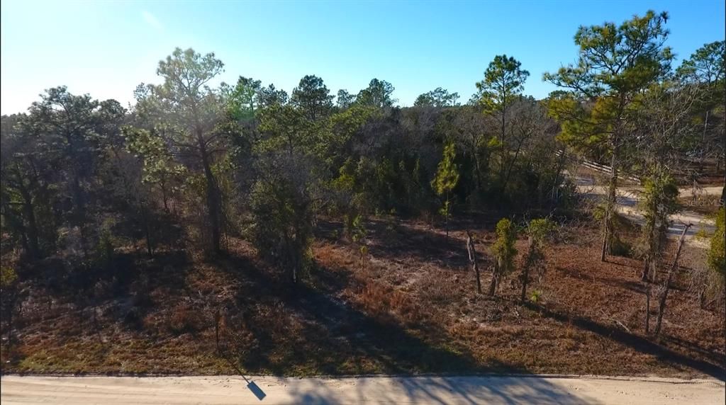 待售: $30,000 (1.25 acres)