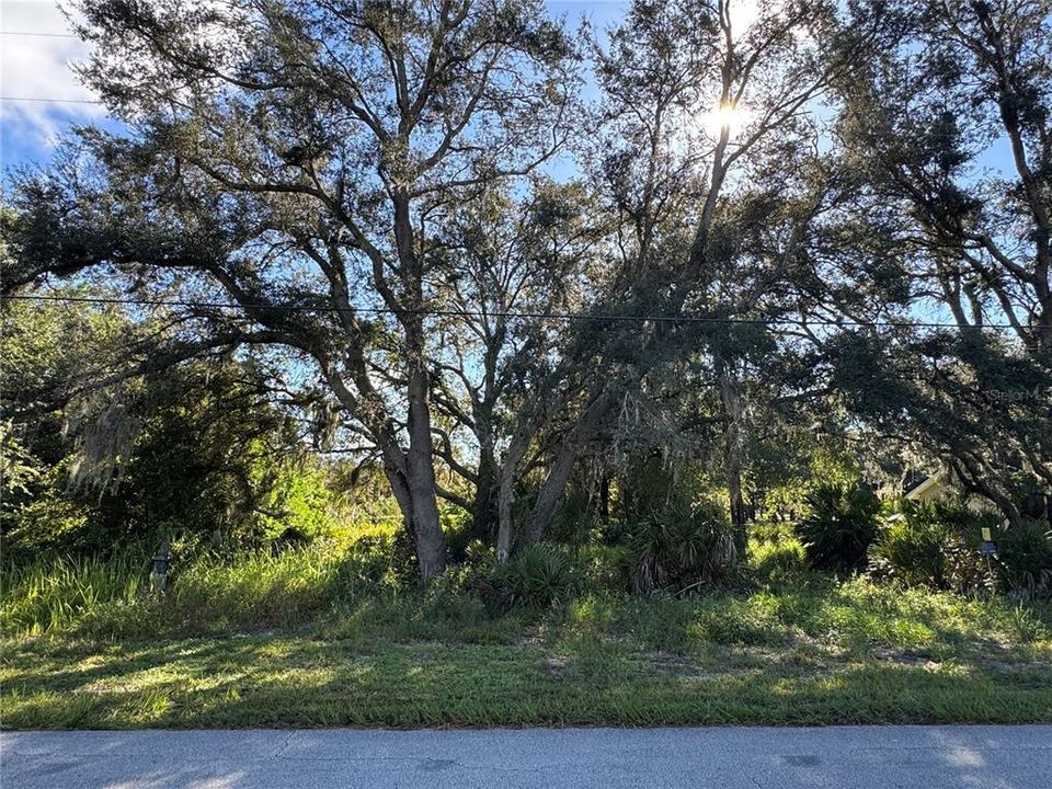 На продажу: $16,000 (0.19 acres)