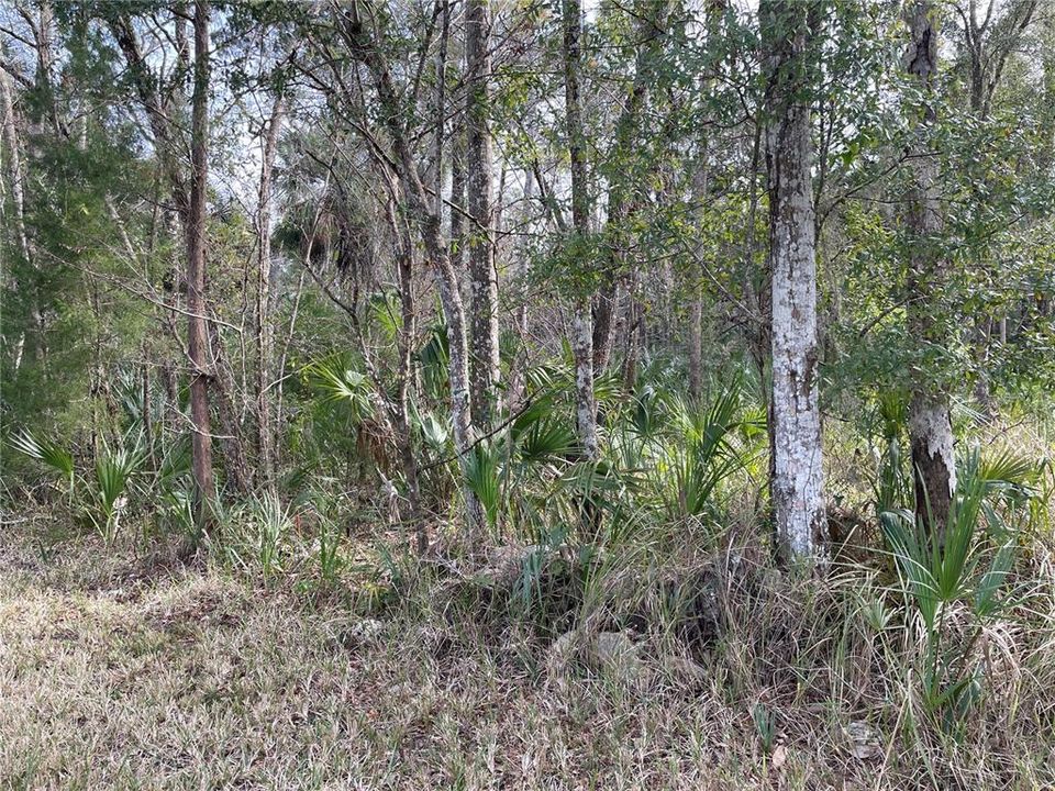 En Venta: $40,000 (0.40 acres)