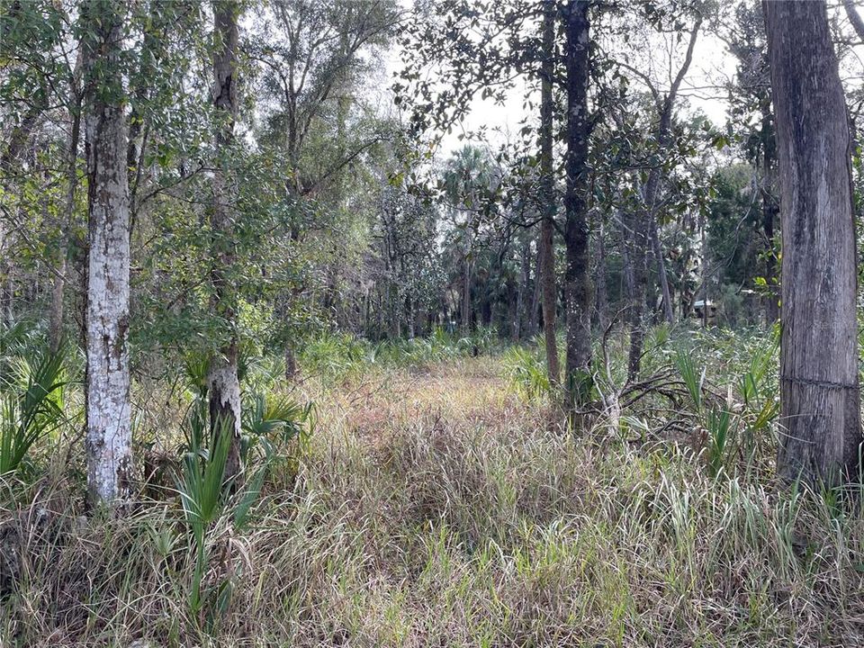 En Venta: $40,000 (0.40 acres)