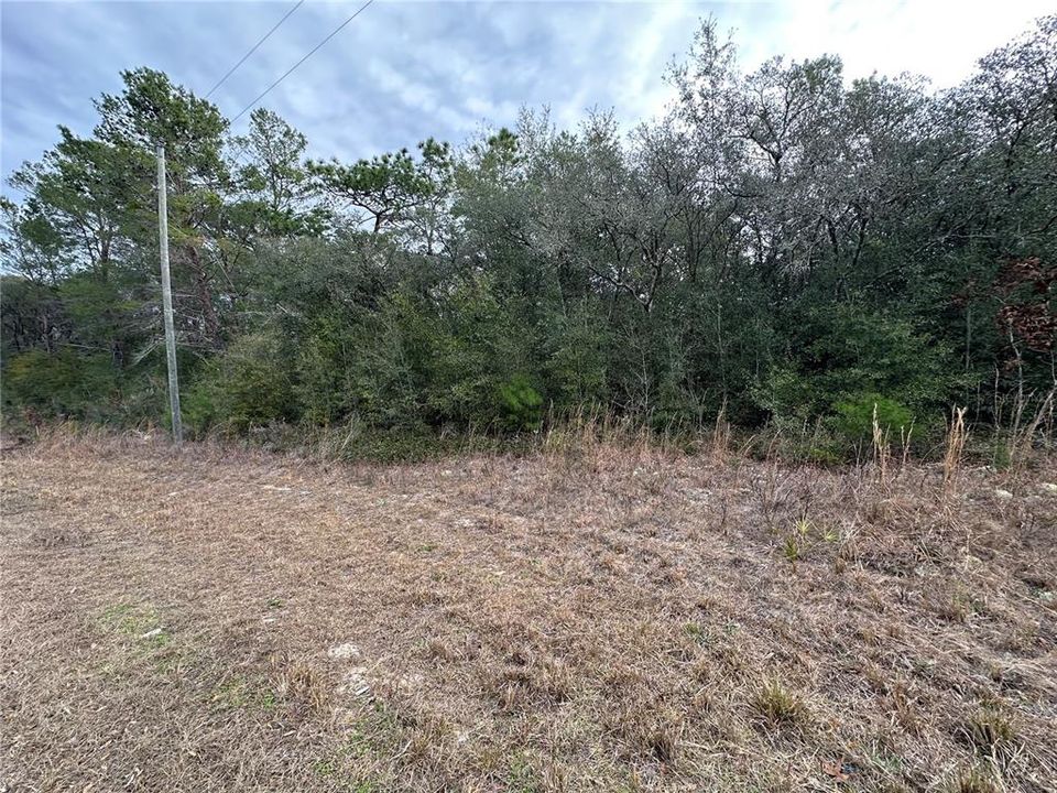 На продажу: $17,000 (0.23 acres)