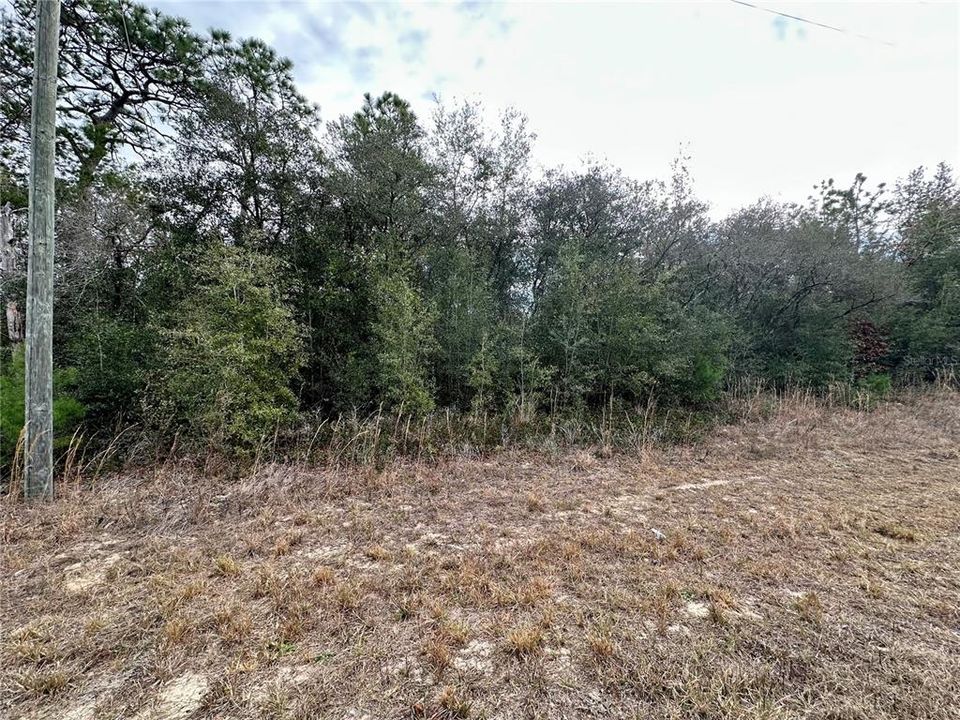 На продажу: $17,000 (0.23 acres)